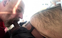 Dad Sucking Hairy Cub